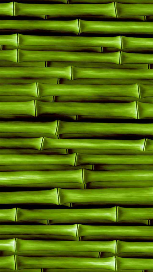 http://www.iphone5wp.com/iphone-5-wallpapers-bamboo/iphone-5-wallpaper-bamboo-01/