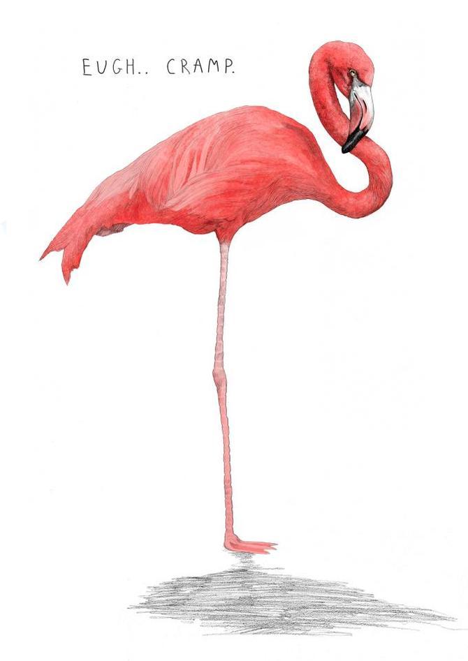 Jamie Mitchell 以动物环保为主题的插画作品欣赏