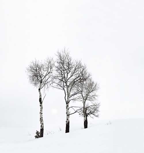 Michael Zimmerer摄影作品欣赏《White Horizon》
