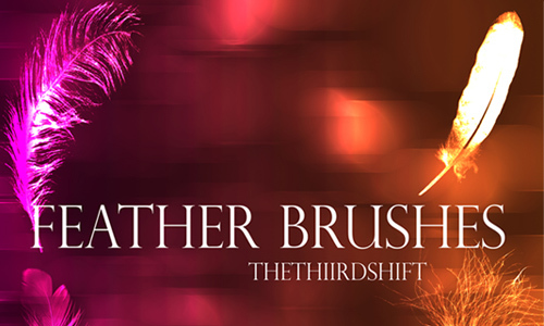 Feather Brushes<br /> http://thethiirdshift.deviantart.com/art/Feather-Brushes-204918333