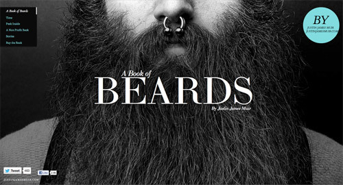 A Book of Beards<br /> http://bookofbeards.com/