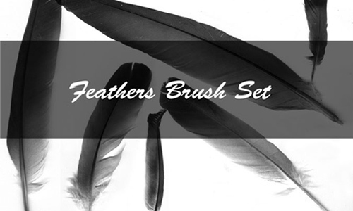 Feather Brush Set<br /> http://kittyd-stock.deviantart.com/art/Feather-Brush-Set-11690700