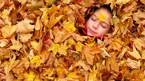 Small Autumn Dreams<br /> http://abstract.desktopnexus.com/wallpaper/70529/