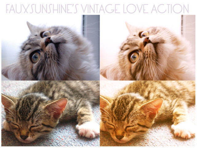 Vintage Love Action<br /> http://fauxsunshine.deviantart.com/art/Vintage-Love-Action-271797831