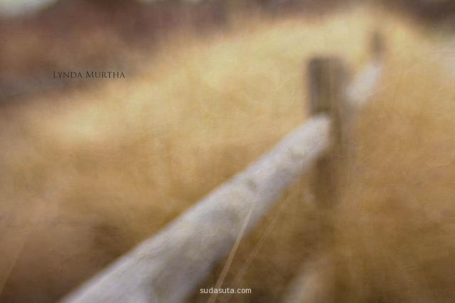 Lynda Murtha 精致唯美的摄影作品欣赏