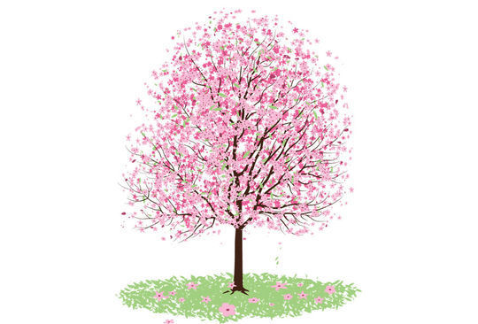 枫叶及树叶矢量素材免费下载