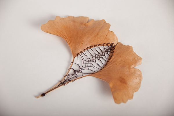 Hillary Fayle 创意生活 叶子的艺术