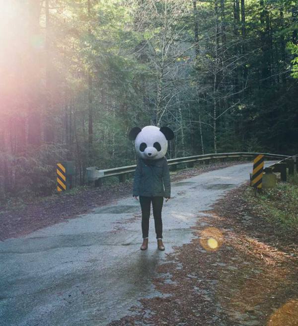 Cody Bratt 熊猫私房照 创意摄影欣赏