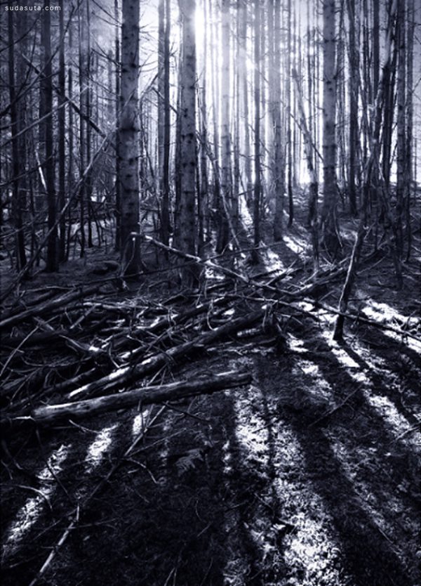 Kilian Schönberger 黑暗森林 自然摄影欣赏