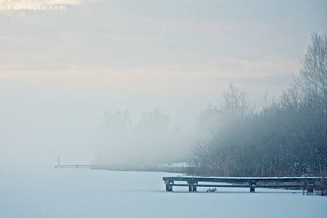 极简主义冬季自然雪景摄影欣赏