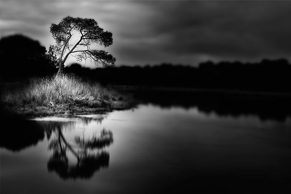 Vassilis Tangoulis 水池边 黑白自然摄影欣赏