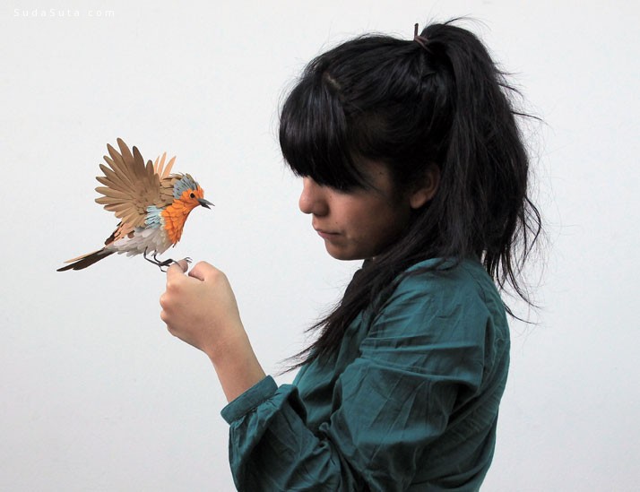 Diana Beltran Herrera 鸟的艺术