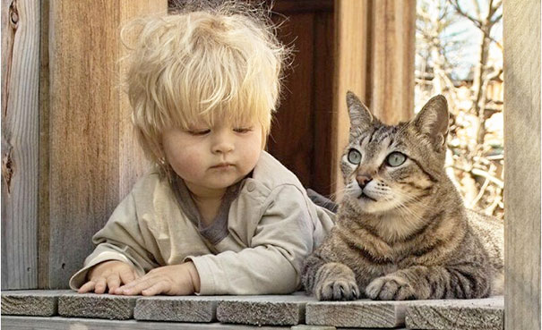 猫咪爱孩子 系列摄影欣赏