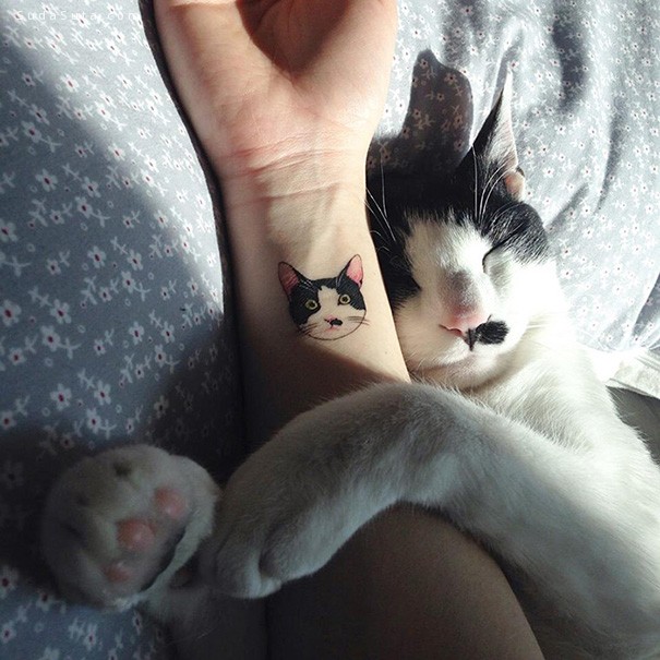 简约可爱的猫咪纹身设计欣赏 - 苏打苏塔设计量
