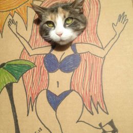 纸板猫艺术 猫咪的不一样的艺术
