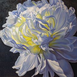 Fiona Craig 单纯的绘画 花朵的艺术