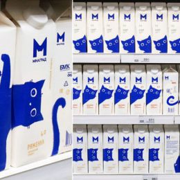 Vera Zvereva 猫咪的牛奶 包装设计欣赏