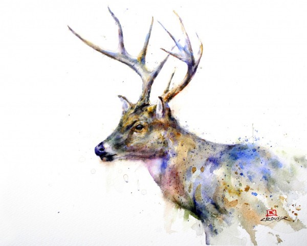 Dean Crouser 动物水彩绘画欣赏