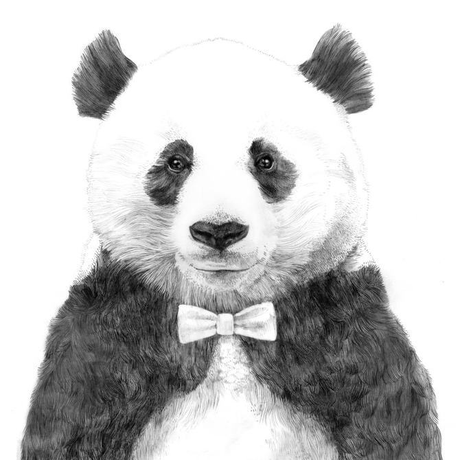 Jamie Mitchell 以动物环保为主题的插画作品欣赏