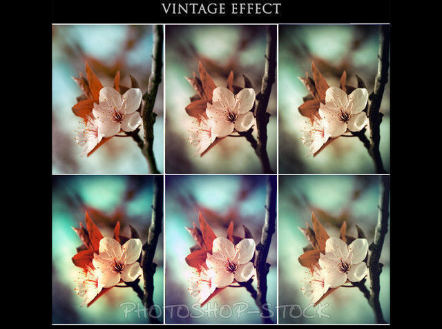 Vintage Effect Ps Actions<br /> http://photoshop-stock.deviantart.com/art/Vintage-Effect-Ps-Actions-100468287