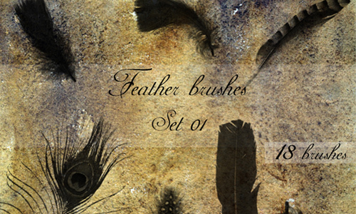 Feather Brushes – Set 01<br /> http://lunanyxstock.deviantart.com/art/Feather-brushes-set-01-126714658