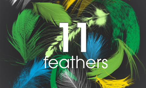 11 Feathers – PS brush<br /> http://muiskis.deviantart.com/art/11-Feathers-PS-brush-257286027