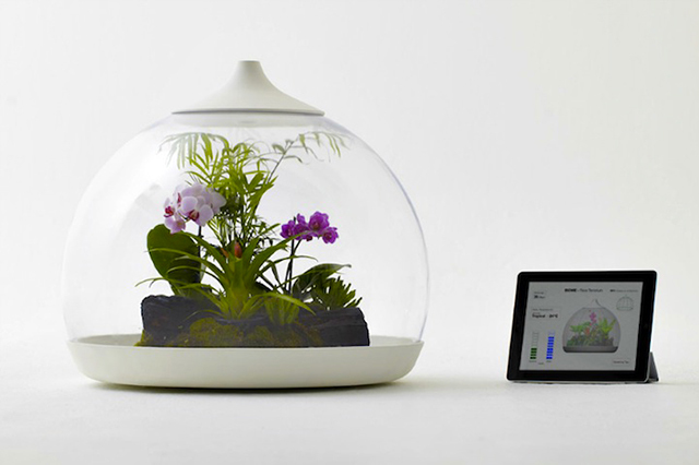 通过iPad控制的的生物群落智能水晶球<br /><br /> http://www.tuaw.com/2011/11/14/biome-smart-terrarium-controlled-by-ipad/