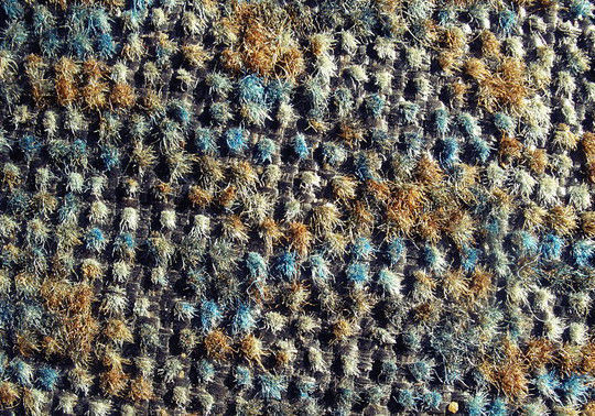 Old carpet<br /> http://snikkio-stock.deviantart.com/art/old-carpet-111042487