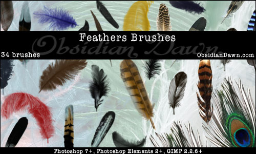 Feathers Photoshop Brushes<br /> http://redheadstock.deviantart.com/art/Feathers-Photoshop-Brushes-42660757