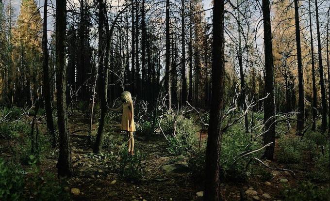 Ellen Kooi 超现实主义摄影《荷兰童话》