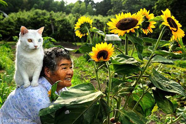Miyoko Ihara 猫咪和奶奶