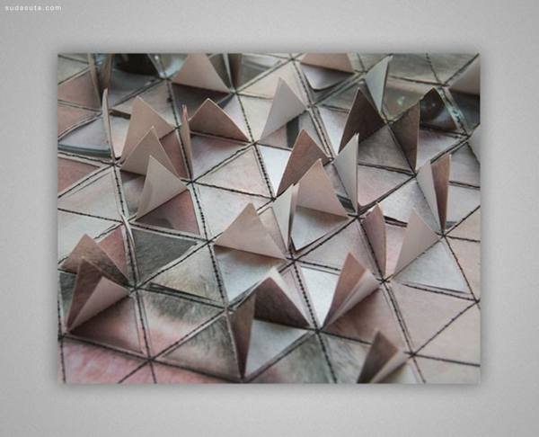 Aldo Tolino 折纸的脸孔