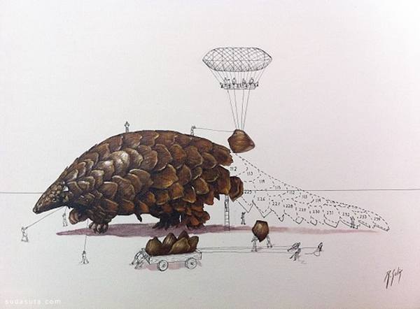 Ricardo Solis 动物插图欣赏