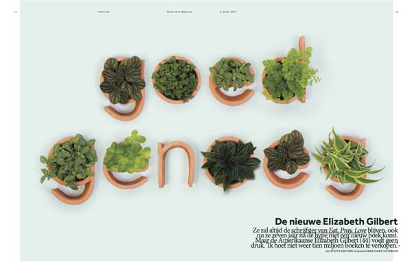 Autobahn 清新的植物的字体排版