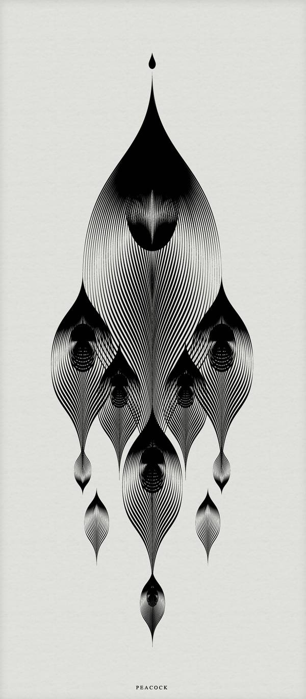 Moiré patterns 抽象动物肖像插画欣赏