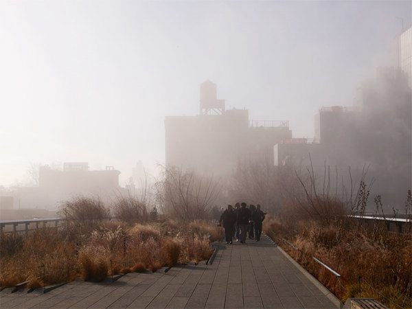 Darran Rees 浓雾的纽约城市