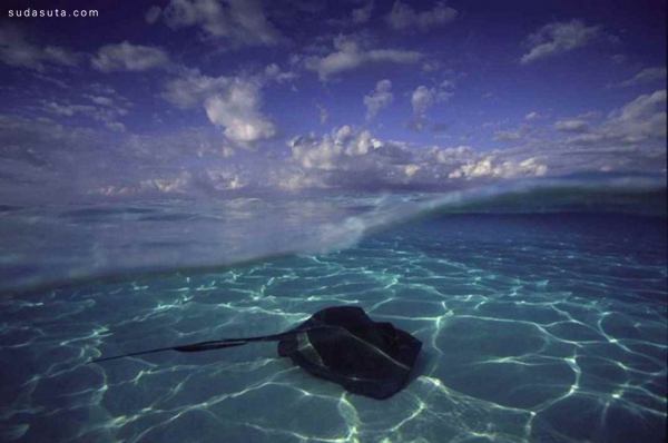 David Doubilet 神奇的水下摄影欣赏