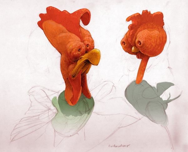 MAJOS Illustrations 卡通鸟类造型设计欣赏
