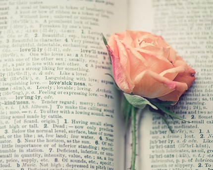 book love rose