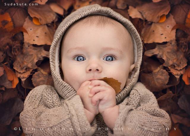 ljholloway photography baby portrait