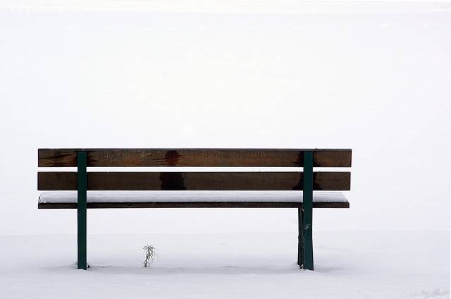 Minimal Winter Bench
