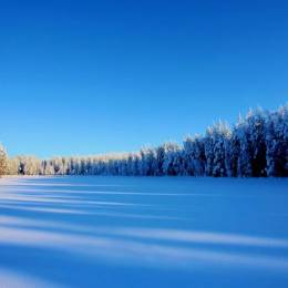kari liimatainen 冰冷的冬季自然摄影欣赏