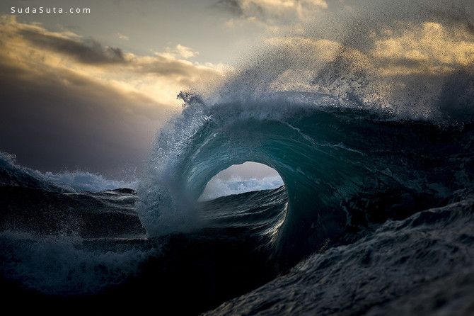 Ray Collins (15)
