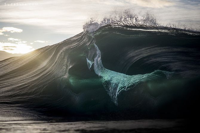 Ray Collins (18)