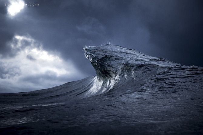 Ray Collins (6)