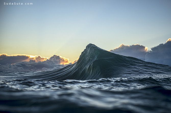 Ray Collins (8)