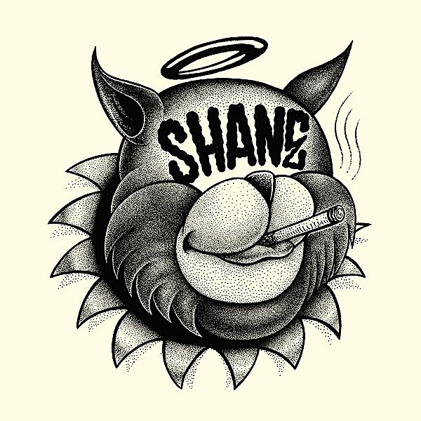 Shane (7)