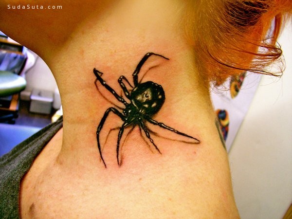 Spider Tattoo002