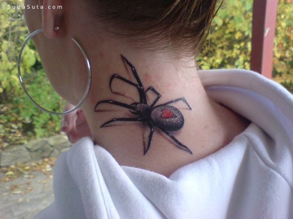Spider Tattoo003