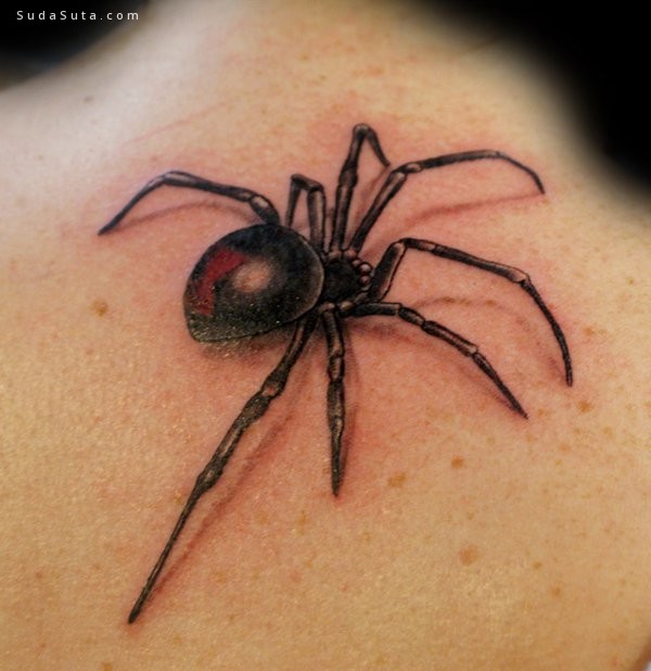 Spider Tattoo004